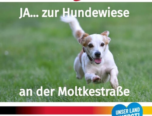 Streit um Hundewiese